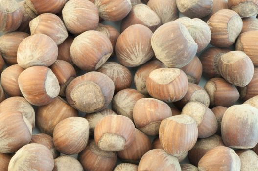 beautiful macro background of harvest of hazelnuts