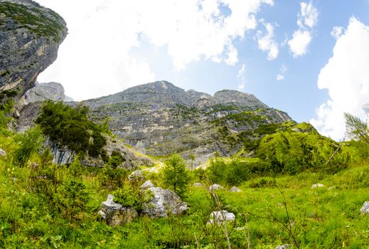 Beautiful landscape of Dolomites. Mountains and Trees in summer season.