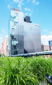 High Line Park in New York City. View on a beautiful sunny day.