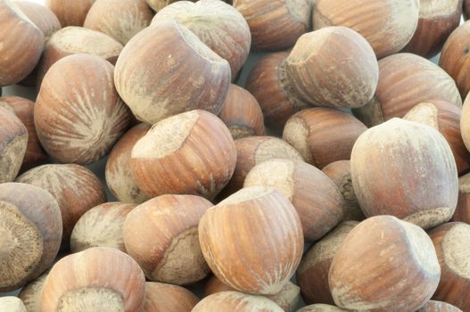 beautiful macro background of harvest of hazelnuts