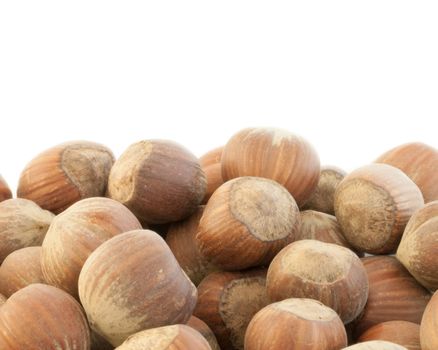 beautiful macro background of  hazelnuts in white background