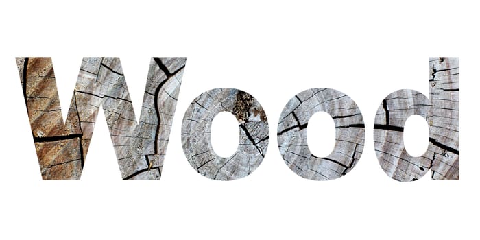 word wood made from tree bark picture on white background 