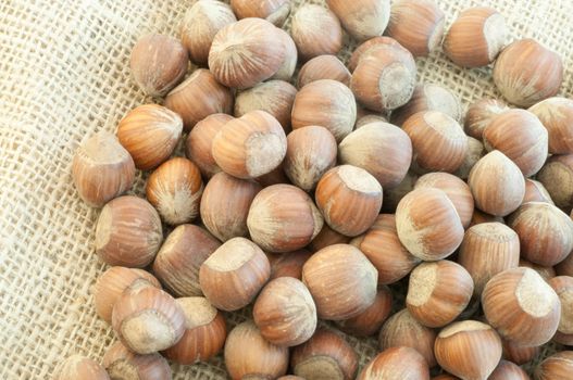 beautiful macro of  hazelnuts on jute background