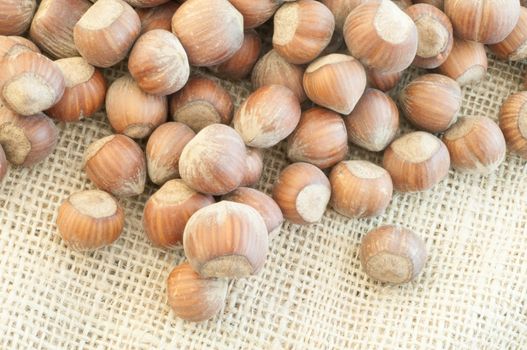 beautiful macro of  hazelnuts on jute background