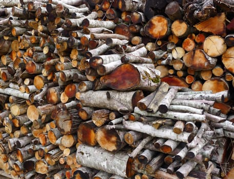 Firewood stacked in a woodshed for winter heating.