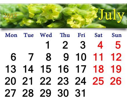 calendar for the July of 2015 on the background of flowers of tobacco-plant