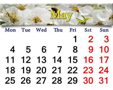 calendar for May of 2015 year with white blooming cherry