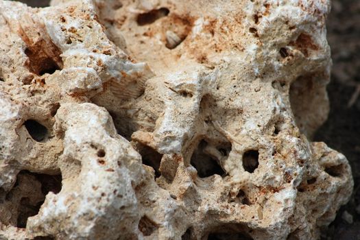 Close-up of a brown, porous, perforated stone