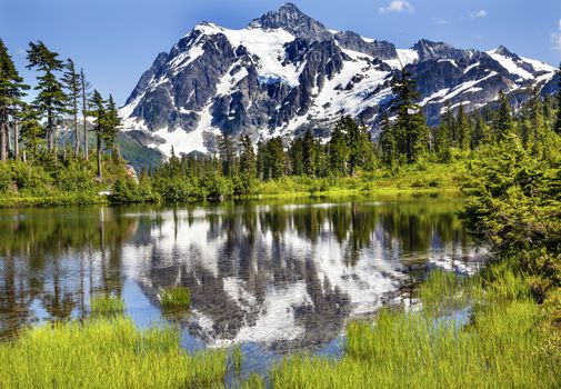 Picture Lake Evergreens Mount Shuksan Mount Baker Highway Snow Mountain Trees Washington Pacific Northwest USA

