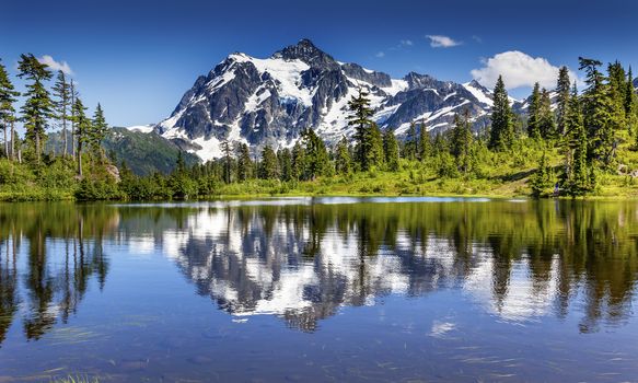 Picture Lake Evergreens Mount Shuksan Mount Baker Highway Snow Mountain Trees Washington Pacific Northwest USA

