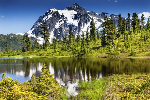 Picture Lake Evergreens Mount Shuksan Mount Baker Highway Snow Mountain Trees Washington Pacific Northwest USA

