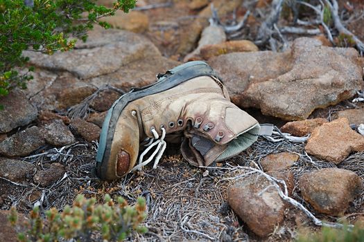 Torn hiking boot abandoned on the trail