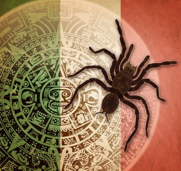 Background in American Indian Style with Aztec calendar, Mexican flag and big spider