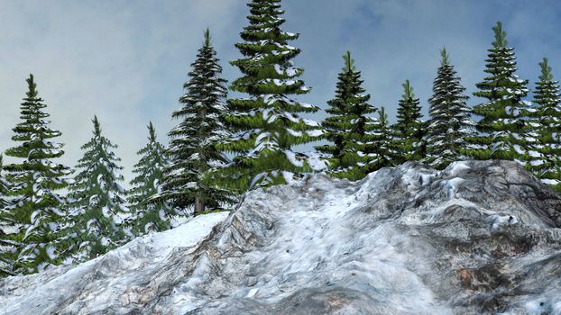 Winter mountain landscape with fir trees and cloudy blue sky