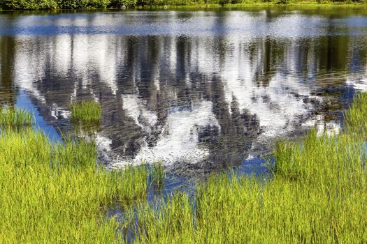 Picture Lake Reflection Abstract Green Grass Mount Shuksan Mount Baker Highway Snow Mountain Washington Pacific Northwest USA

