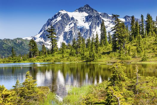 Picture Lake Evergreens Mount Shuksan Mount Baker Highway Snow Mountain Trees Washington Pacific Northwest USA

