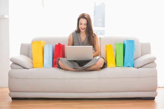 Beauty brunette using her laptop on the couch at home in the living room