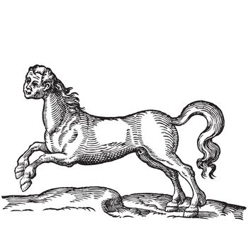 Ancient style engraving of a horse with human head