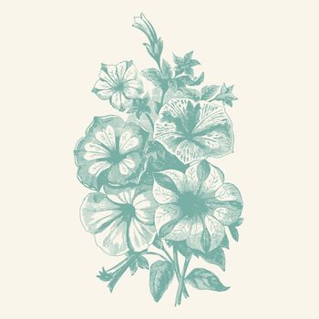 Vintage etching vector illustration of a bouquet of begonia flowers