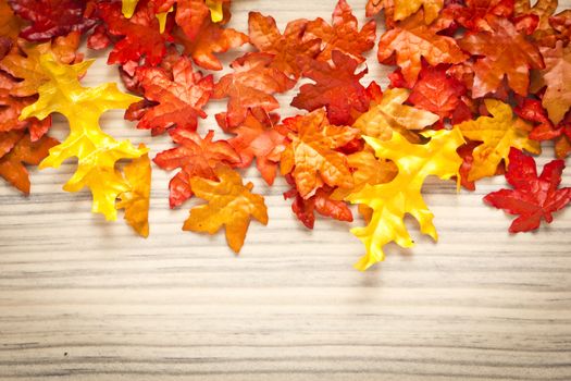 colorful leaves on a rustic wood background 