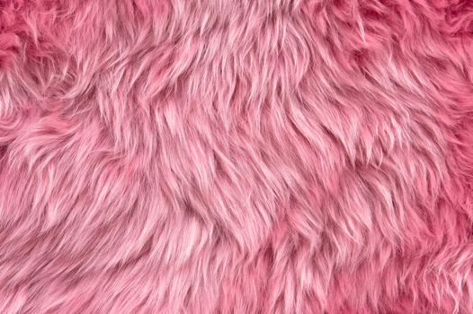 Close up of a pink dyed sheepskin rug as a background