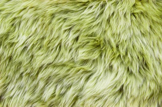 Close up of a green dyed sheepskin rug as a background