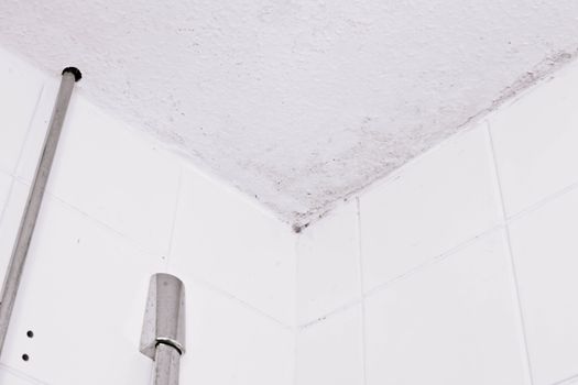 Ceiling mould due to condensation in a bathroom