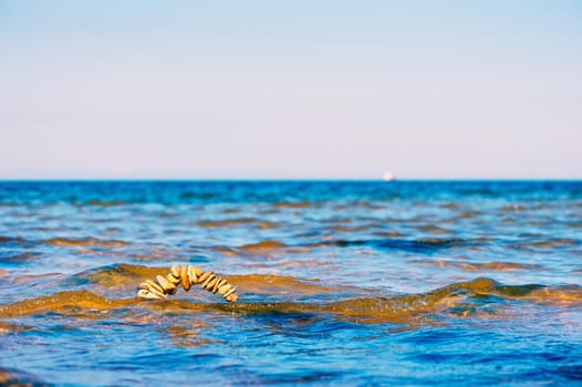 Circle of pebbles on the surface of the sea