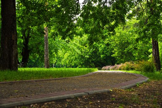 gravel road through the green, summer park