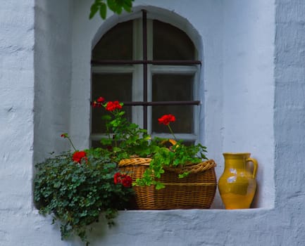 red flowers and jug on the windowsill closeup