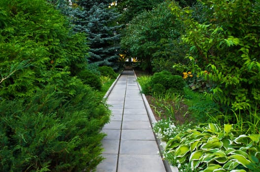 path in the green park summer day