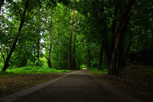 gravel road through the summer, green, park