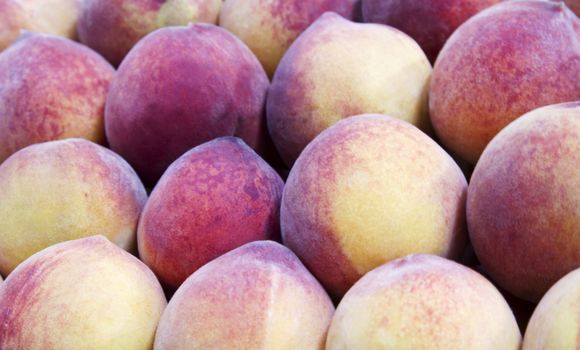 Natural rose and fuzz of farm fresh, appealing peaches in Victoria Market, Melbourne, Australia, 