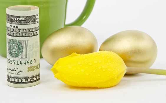 Yellow tulip blossom with fresh dew in front of American dollar currency and two, gold nest eggs with green coffee mug suggest new day and approaches to successful investment plans