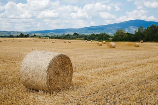 Dry rural field with hay stacks