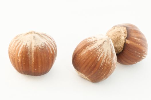 raw and natural hazelnuts on white background