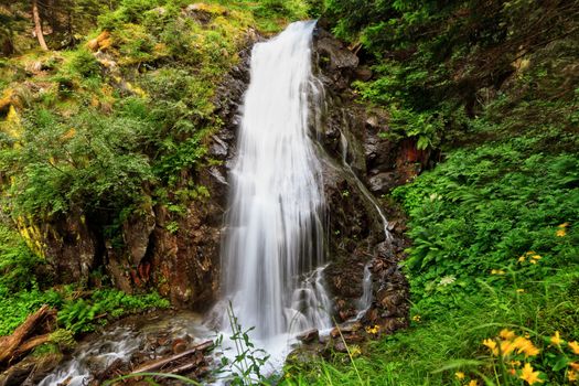 small waterfall in Vermiglio, Val di Sole, Trentino, Italy