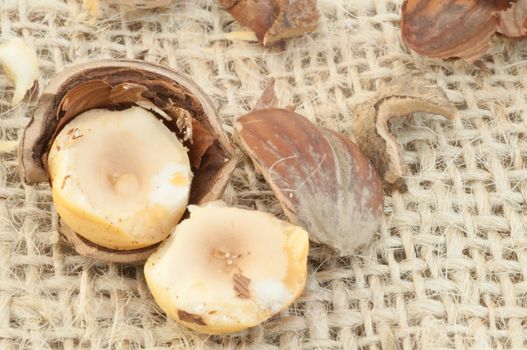 macro of hazelnuts on jute background in studio