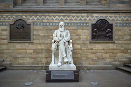 LONDON, UK - DECEMBER 11: Statue of Charles Darwin at the Natural History Museum. December 11, 2014 in London. 
