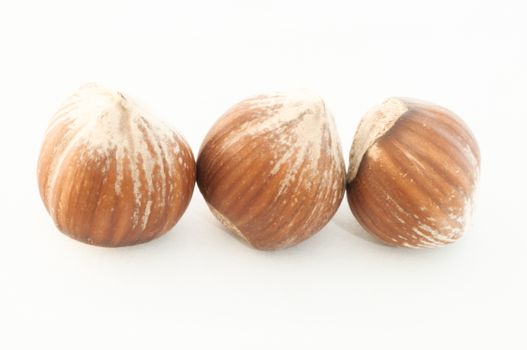 raw and natural hazelnuts on white background