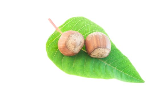 macro hazelnuts still life in white background