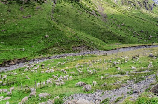 A picture from the valley in Pyrenees mountians