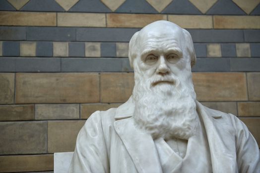 LONDON, UK - DECEMBER 11: Close up of Charles Darwin at the Natural History Museum. December 11, 2014 in London. 