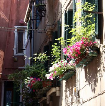 Old  window with shutters, beautiful background for a card.