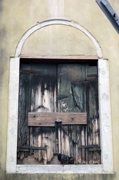 Old  window with shutters, beautiful background for a card.