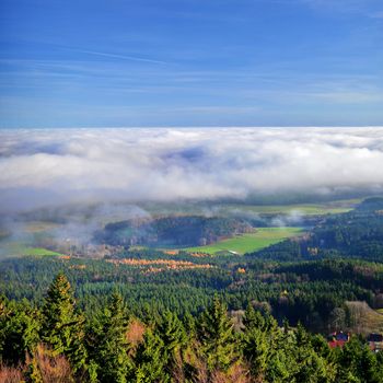 view over the trees, above the clouds