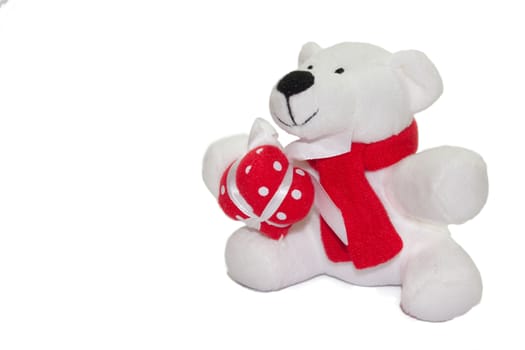 Teddy bear on the white background.