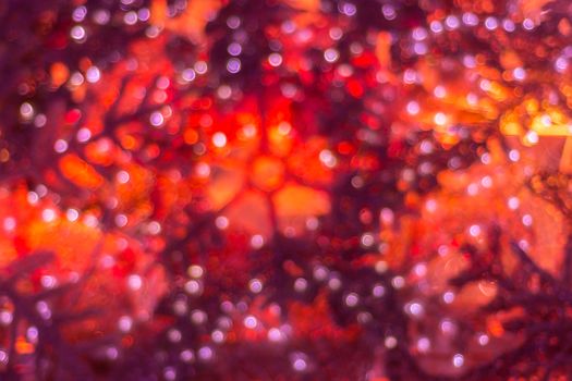 Colorful orange lights bokeh background, Chrismas lights bokeh