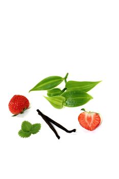 green Vanilla leaves with strawberries on a light background