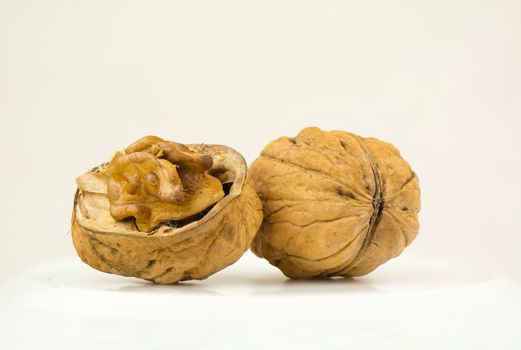 Walnut